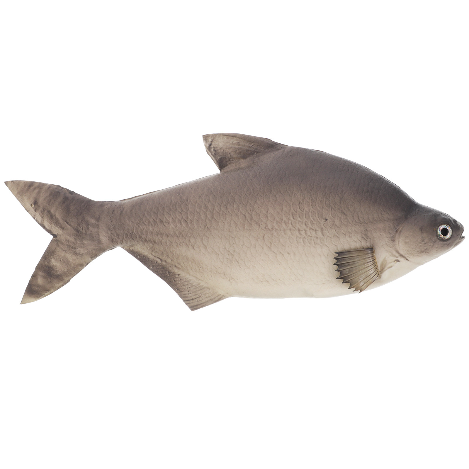 Aquarium Fish Market - Detaillierter PU-Simulierter Fisch, Künstliche Lebensechte Dekoration