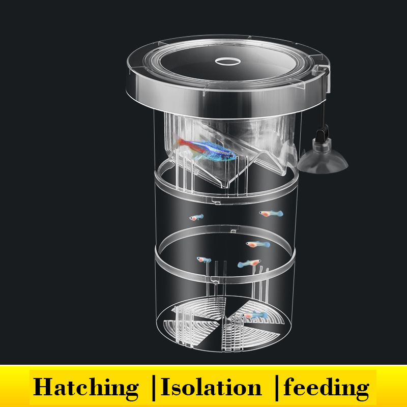 Aquarium Fish Betta - Schwimmende Fische Zucht Isolation Box für