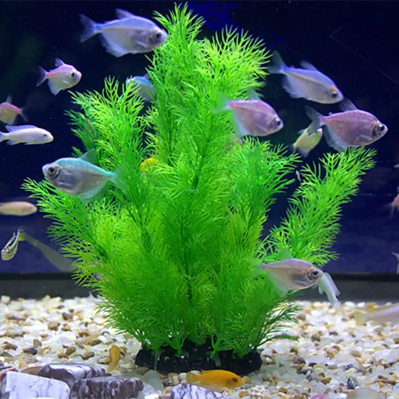 Aquarium Fish Only - Künstliche Aquarium Dekor Pflanzen Unterwasser Wasser
