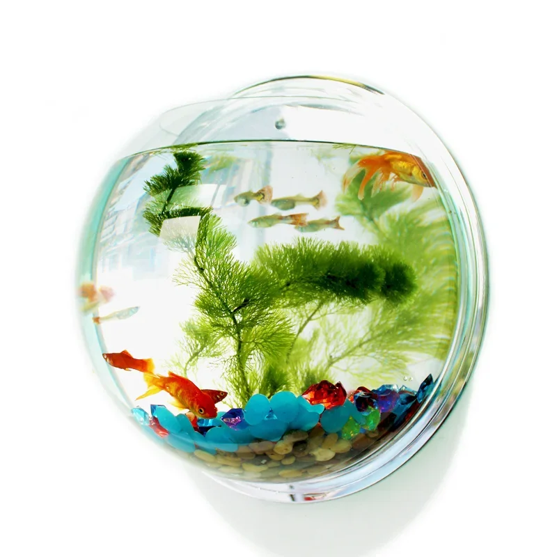 Aquarium Fish Betta - Pinsjar Acryl Fischschale Wandbehang Aquarium Tank