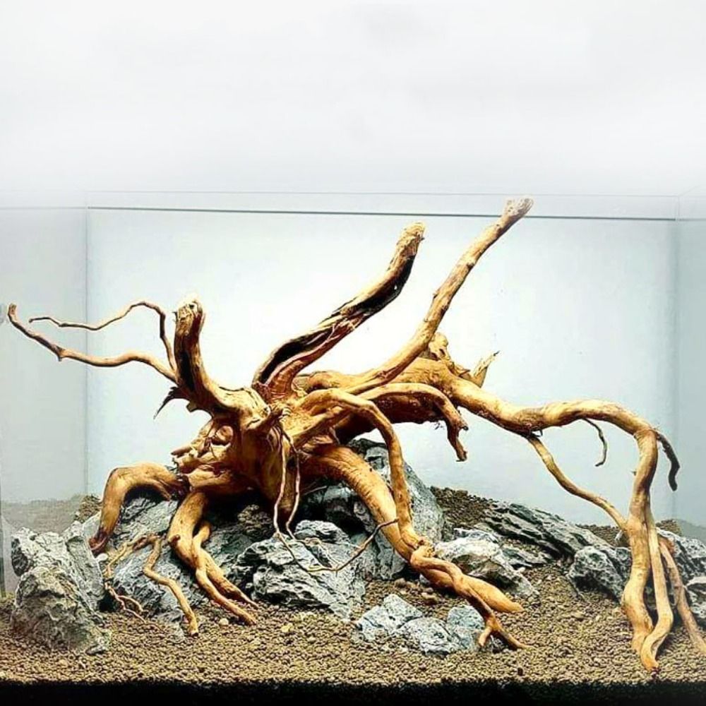 Aquarium Fish Big - 20-25CM Großes Aquarium-Treibholz, Natürliche Fischbecken-Pflanzendekoration, Baumstumpf
