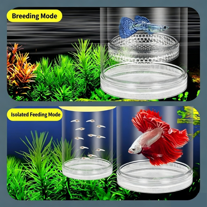 Aquarium Fish Betta - Transparente Schwimmende Aquarium-Brutbox, Multifunktionaler Fischzucht-Separator für