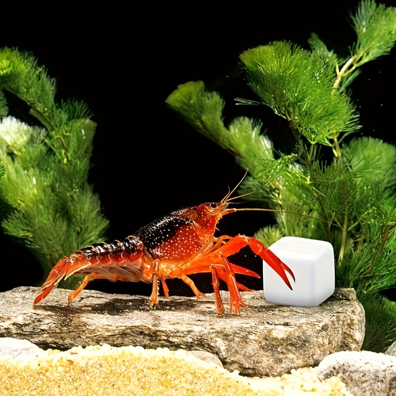 Aquarium Fish Lego - 6-teiliger Aquarium-Kalziumblock, Mineralien, Aquarium-Versorgung, Krabbelwürfel für