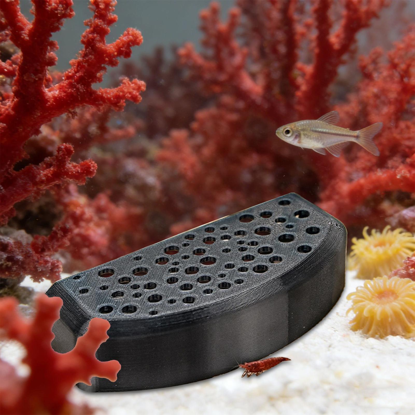 Aquatisches Haustier-Ruheornam – Aquarium Fish Zone Bewertung und Preis