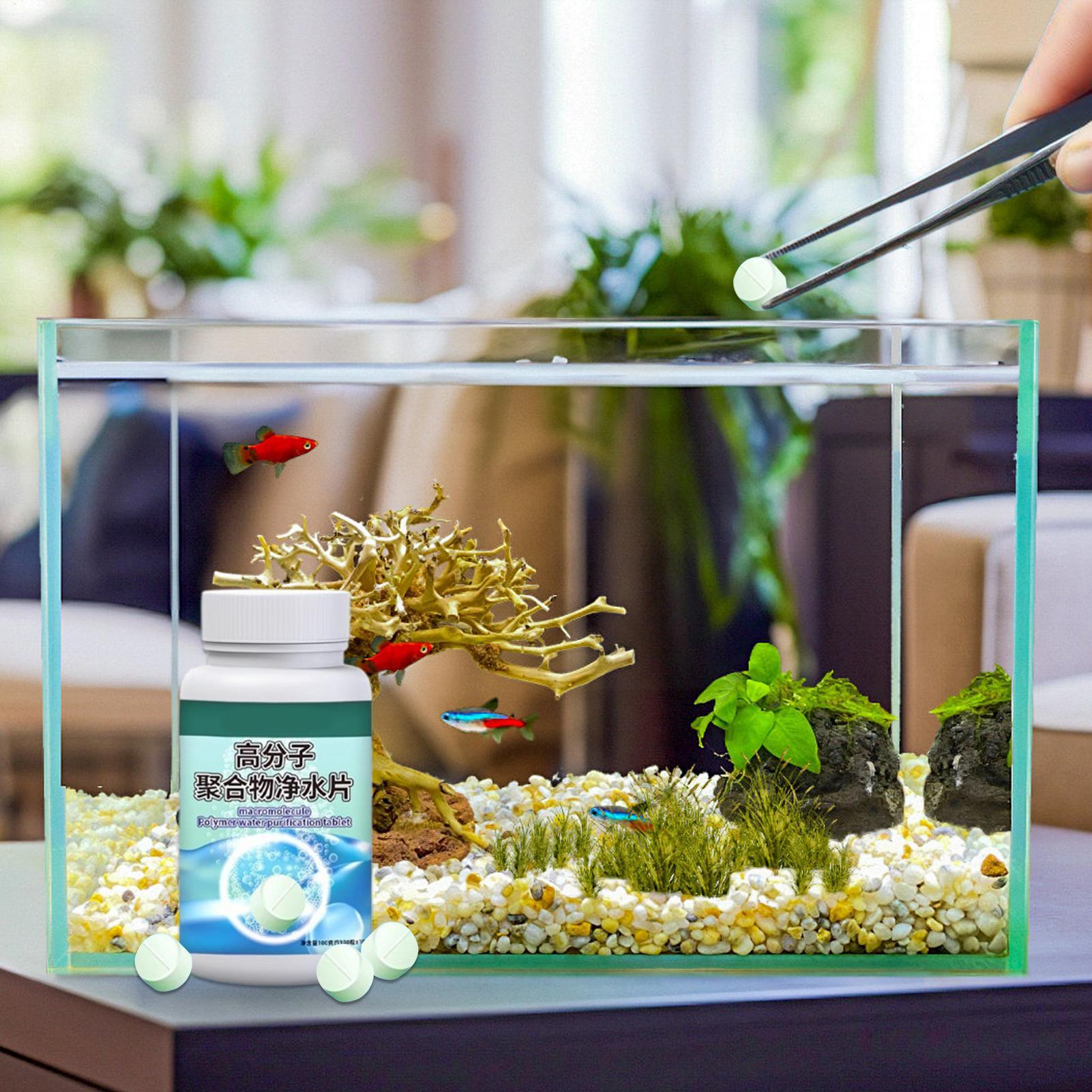 Fischfutter-Algenentferner, Aq – Aquarium Fish Betta Bewertung und Preis