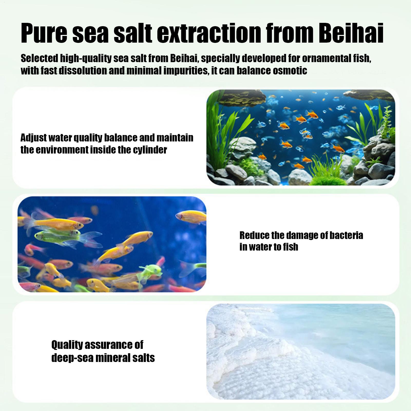 Fischfutter-Algenentferner, Aq – Aquarium Fish Betta Bewertung und Preis