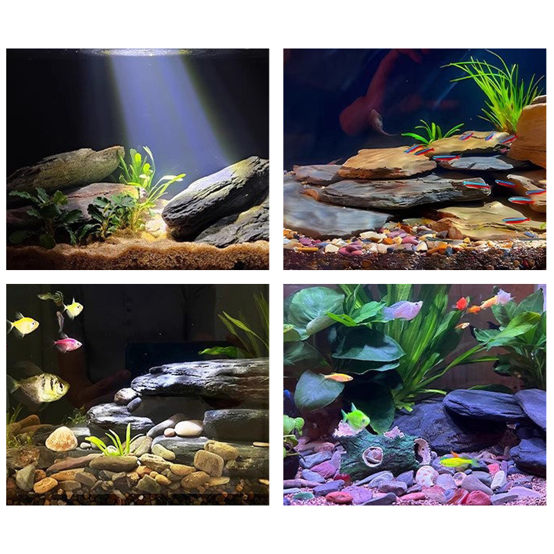 500/1000g Aquarium-Landschafts – Aquarium Fish House Bewertung und Preis