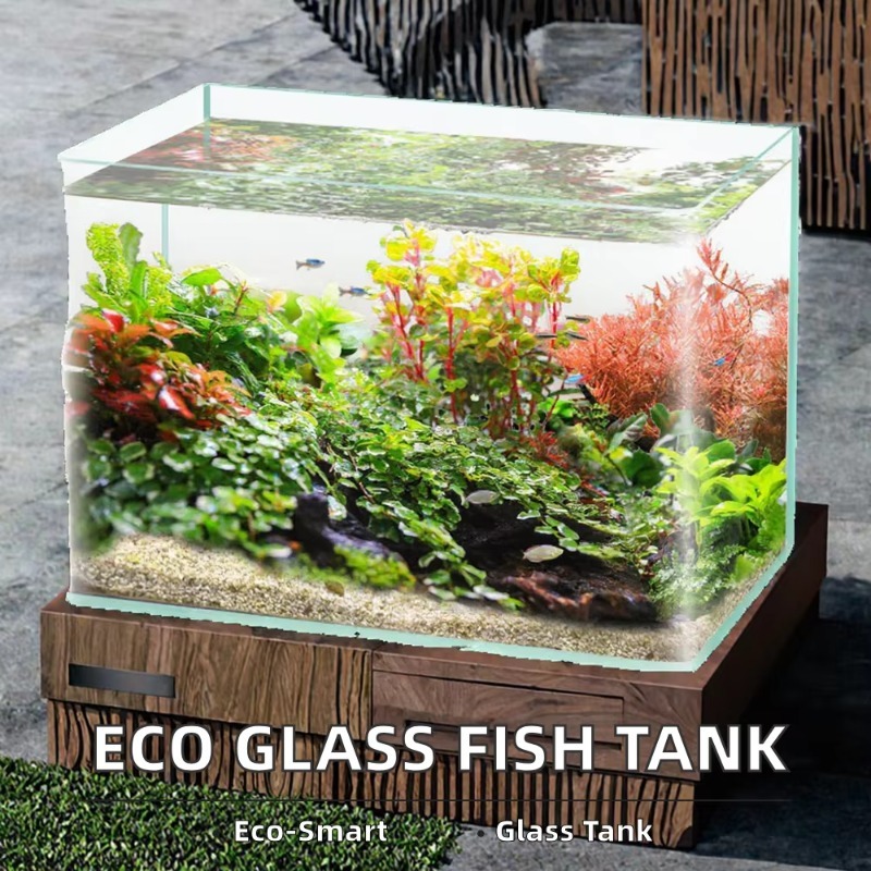 Box-Verpackung, Desktop-Aquari – Aquarium Fish Glass Bewertung und Preis