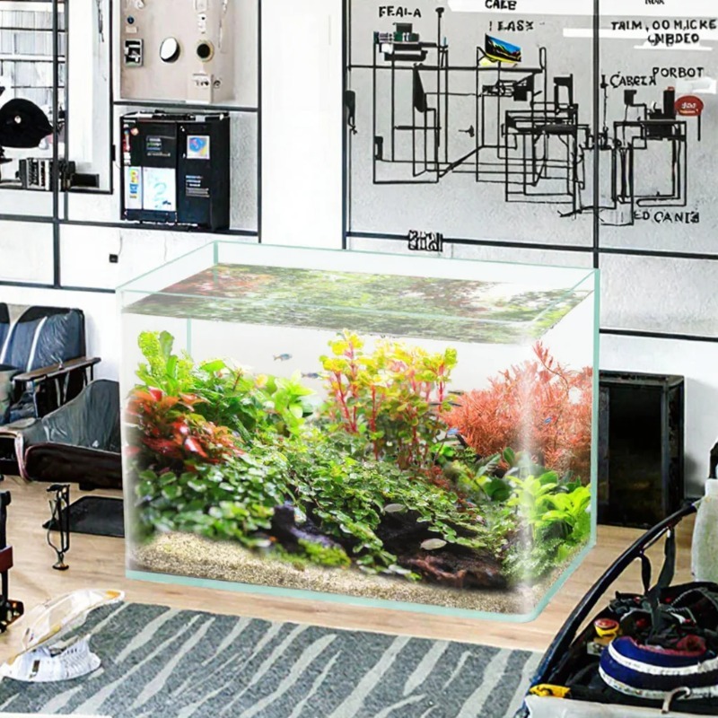 Box-Verpackung, Desktop-Aquari – Aquarium Fish Glass Bewertung und Preis