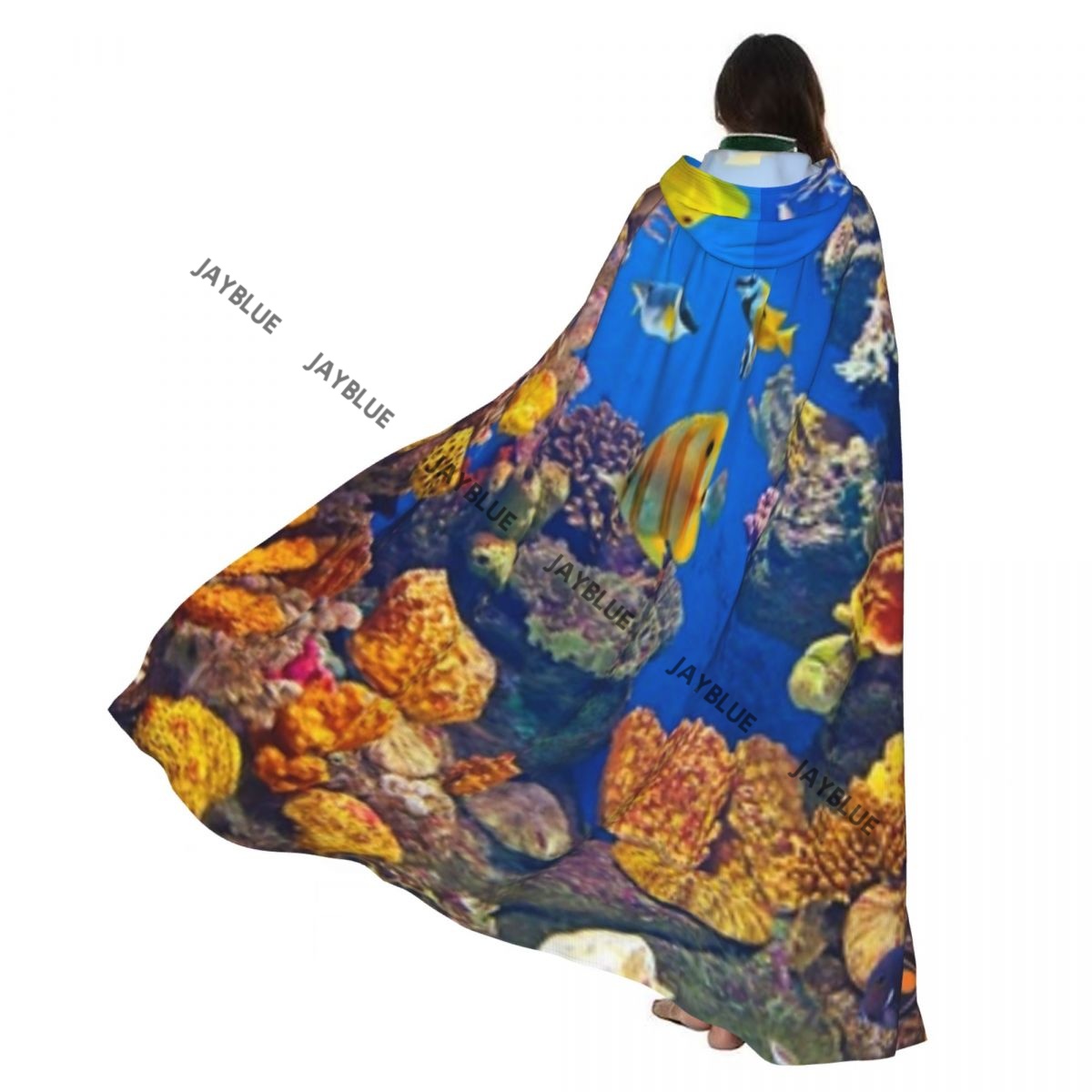 Unisex Erwachsene Bunte Aquari – Aquarium Queen Fish Bewertung und Preis