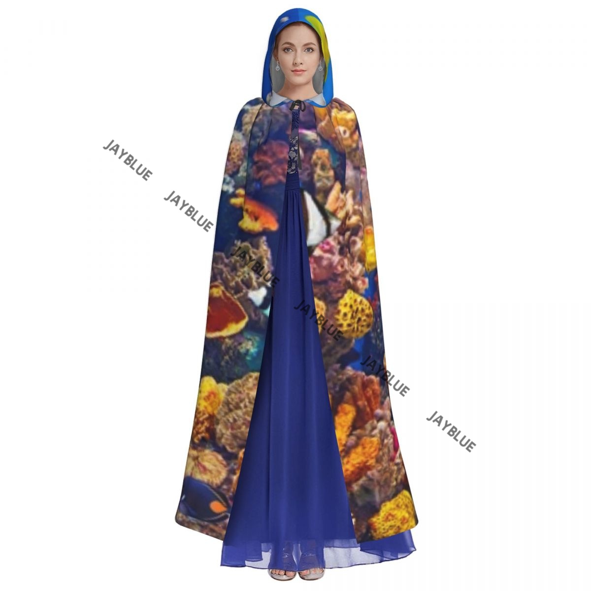 Unisex Erwachsene Bunte Aquari – Aquarium Queen Fish Bewertung und Preis