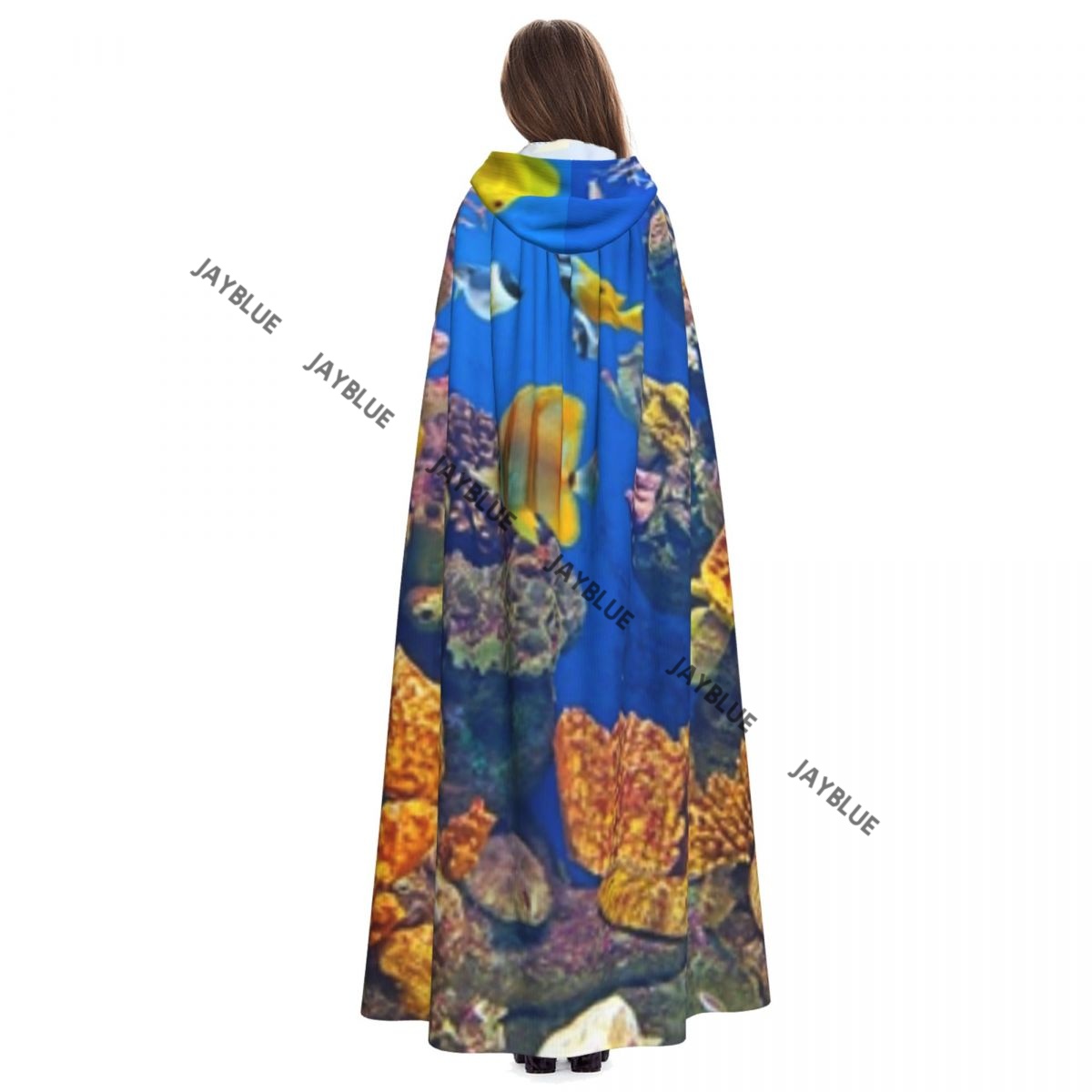 Unisex Erwachsene Bunte Aquari – Aquarium Queen Fish Bewertung und Preis