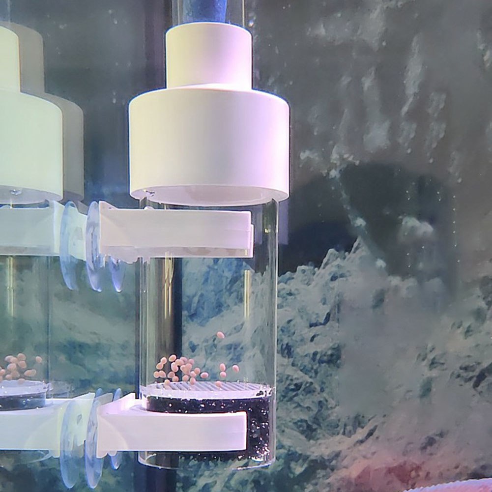 40mm Tumbler Inkubator Fisch B – Aquarium Fish Cichlid Bewertung und Preis