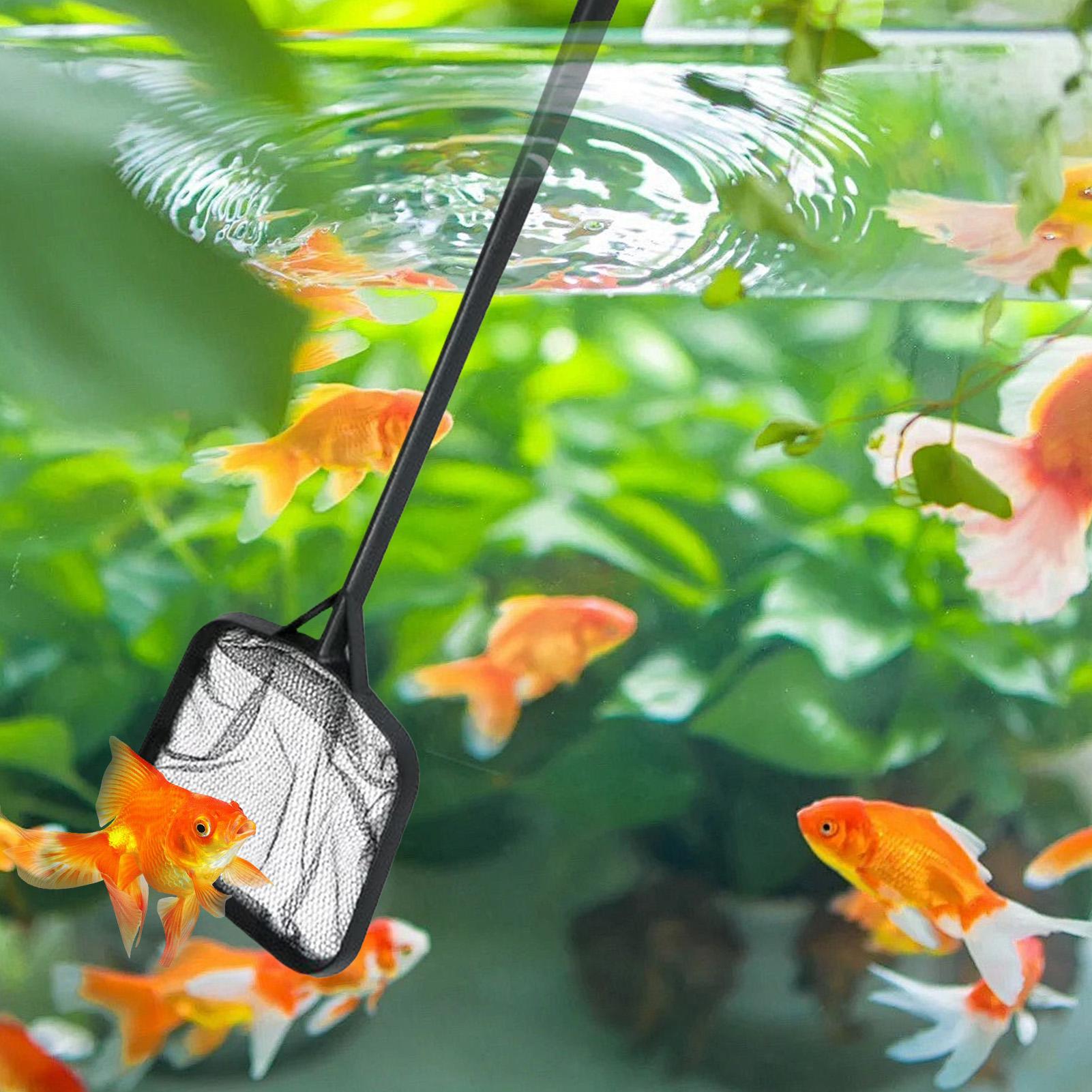 Poolnetze zur Reinigung, tragb – Aquarium Fish House Bewertung und Preis