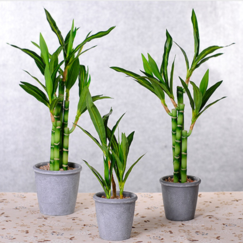 Neue 40 cm rFtificial Lucky Ba – Aquarium Fish Only Bewertung und Preis
