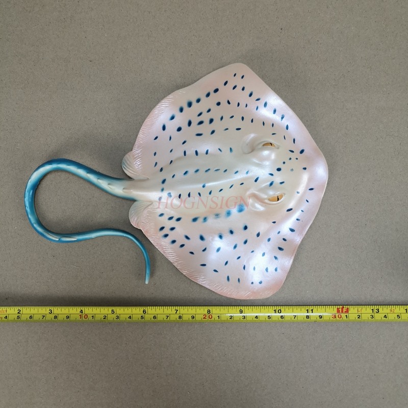 Aquarium-Tiermodell-Spielzeug  – Aquarium Fish Market Bewertung und Preis