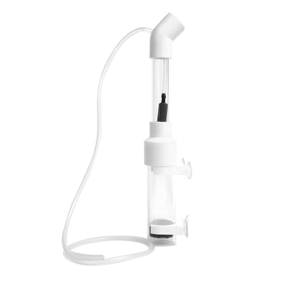 40mm Inkubator für Fischeier,  – Aquarium Fish Cichlid Bewertung und Preis
