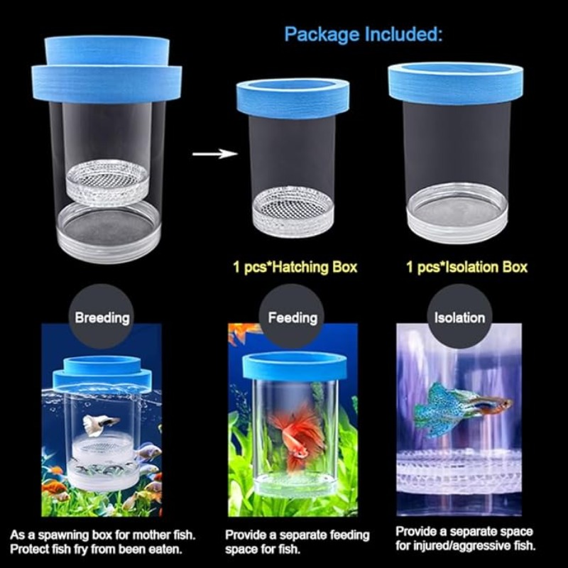 Schwimmende Fische Zucht Isola – Aquarium Fish Betta Bewertung und Preis