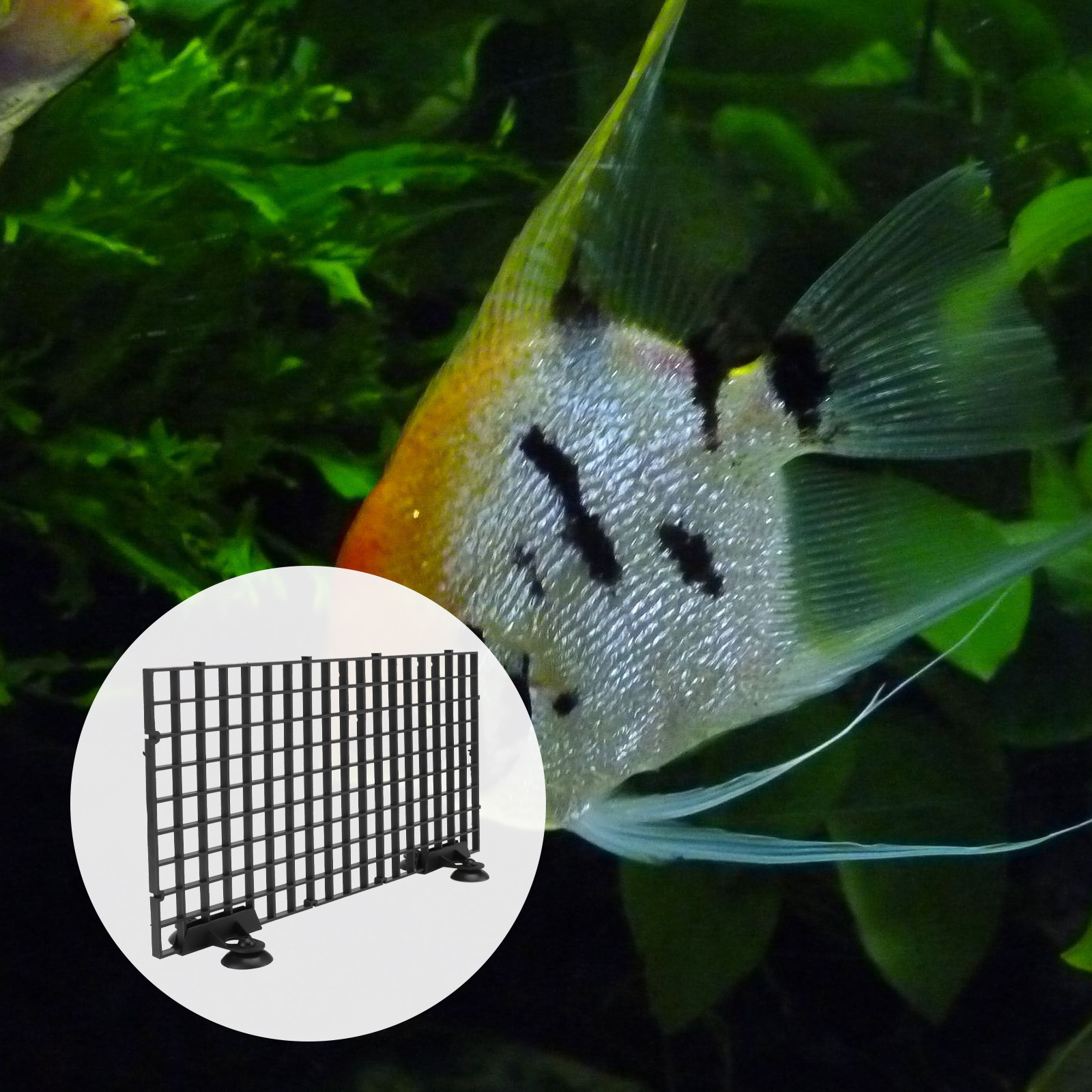 Fischzucht-Netz Großformatiges – Aquarium Fish Big Size Bewertung und Preis