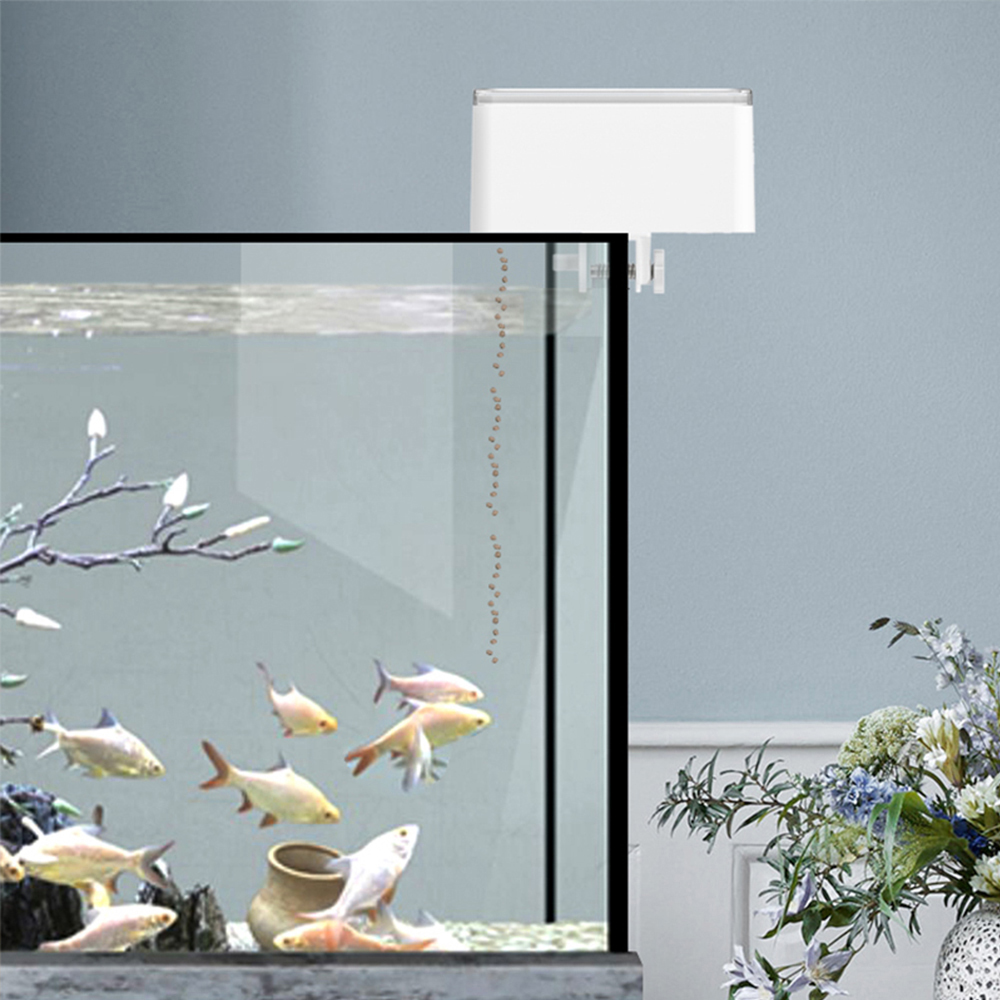 100ML Große Kapazität Fisch Fe – Aquarium Fish Big Bewertung und Preis