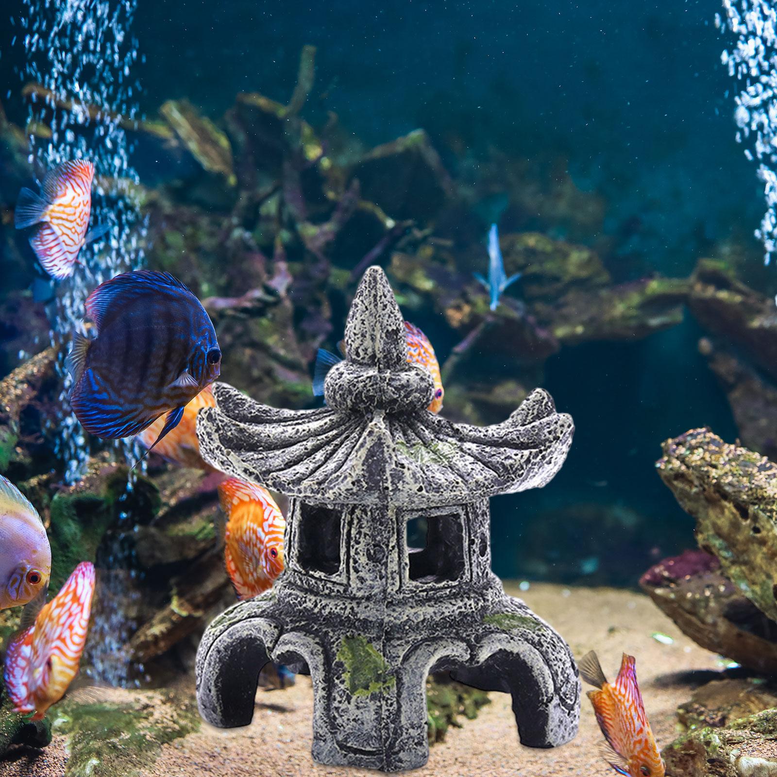 Aquarium Ornament Aquarium Zub – Aquarium Fish Only Bewertung und Preis