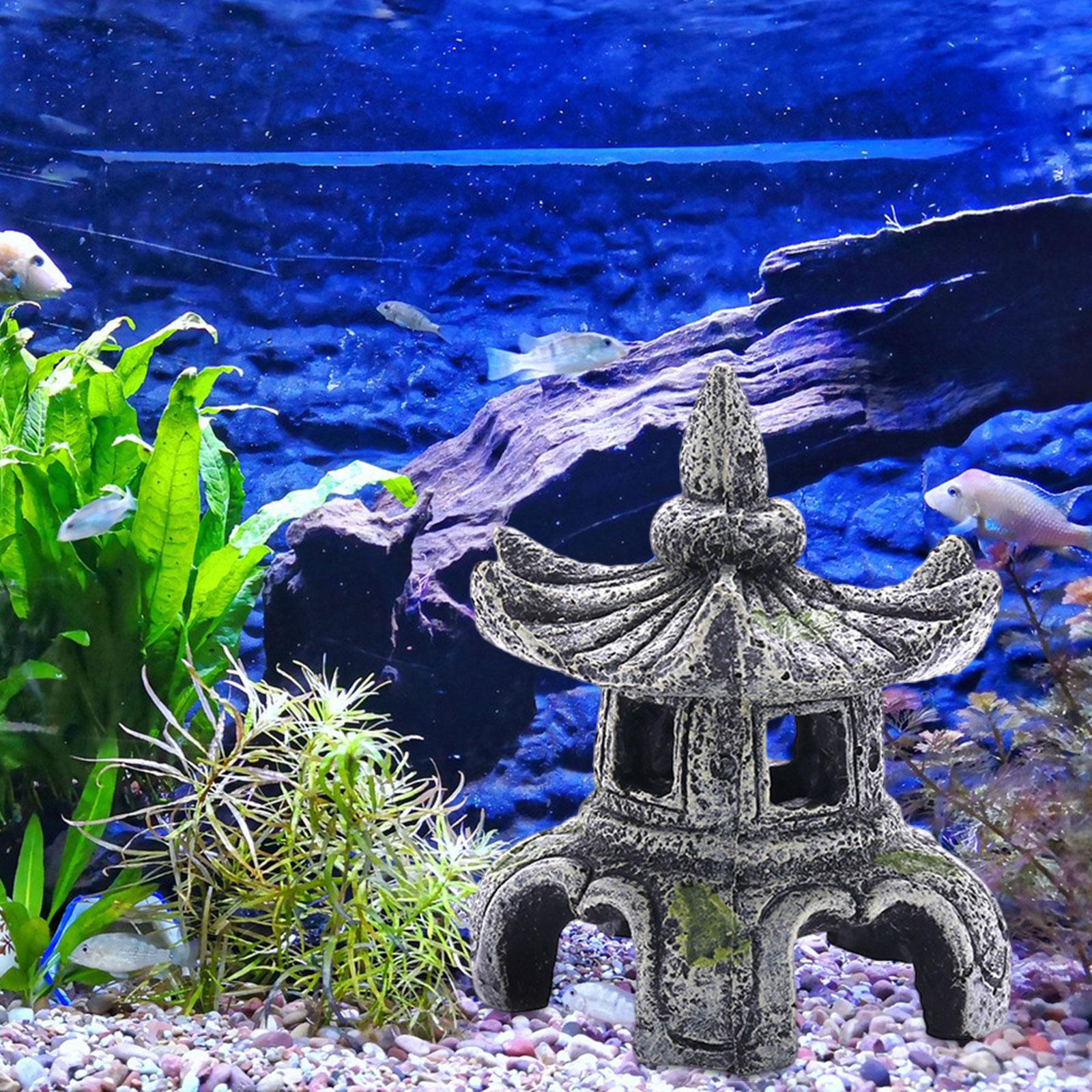 Aquarium Ornament Aquarium Zub – Aquarium Fish Only Bewertung und Preis