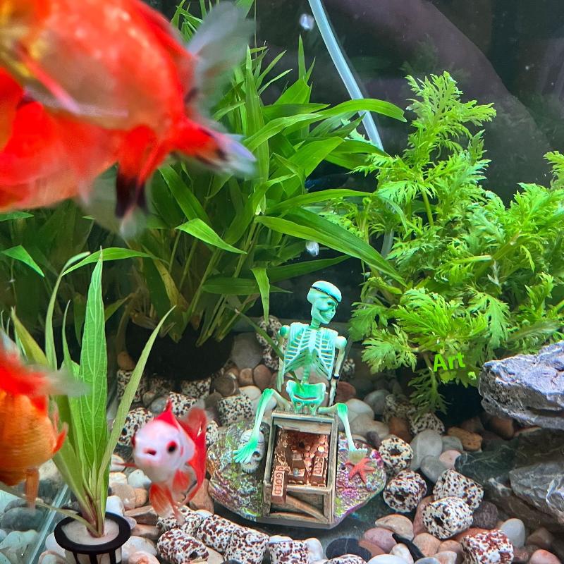 Aquarium Aerobic Landschaft Bl – Aquarium Fish Only Bewertung und Preis