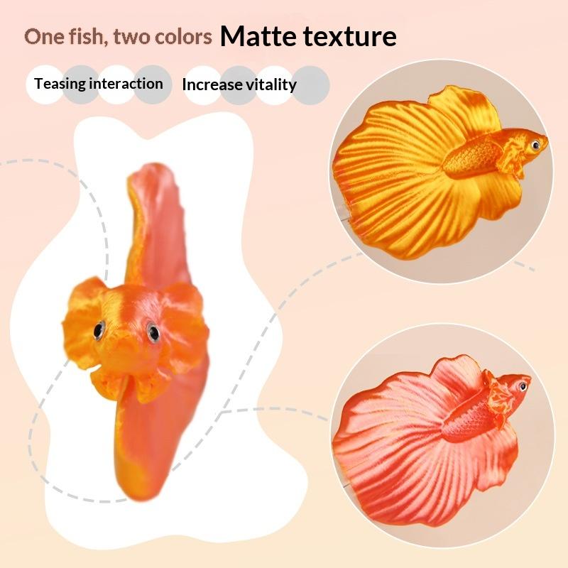 【CC】Bunter Aquarium-Betta-Trai – Aquarium Fish Betta Bewertung und Preis