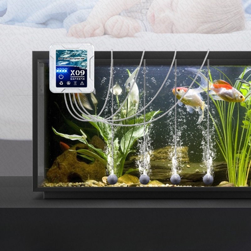 Aquarium-Zubehör Elektrische L – Aquarium Fish Market Bewertung und Preis