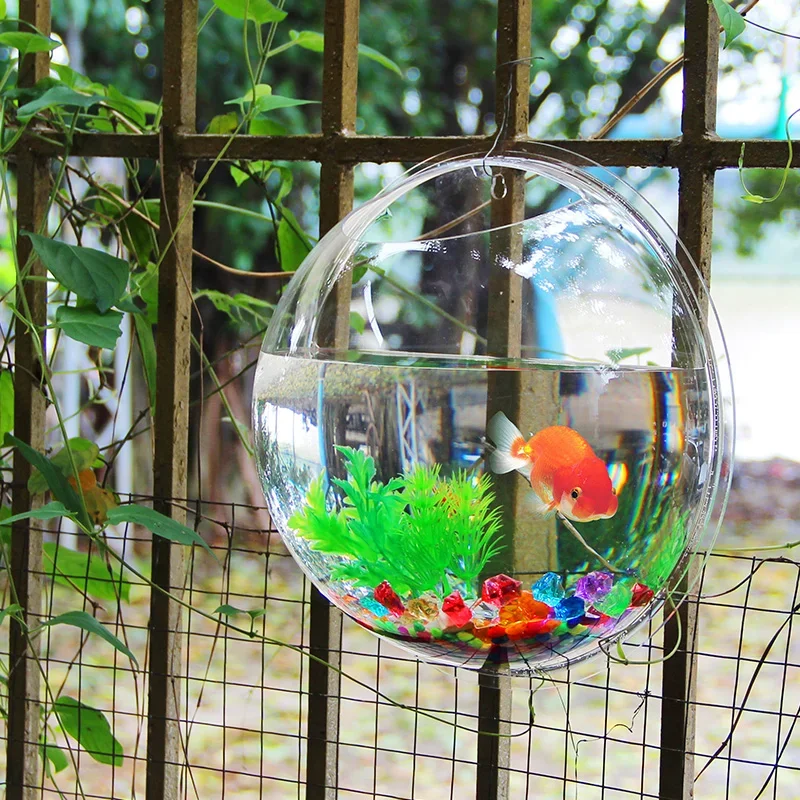 Pinsjar Acryl Fischschale Wand – Aquarium Fish Betta Bewertung und Preis