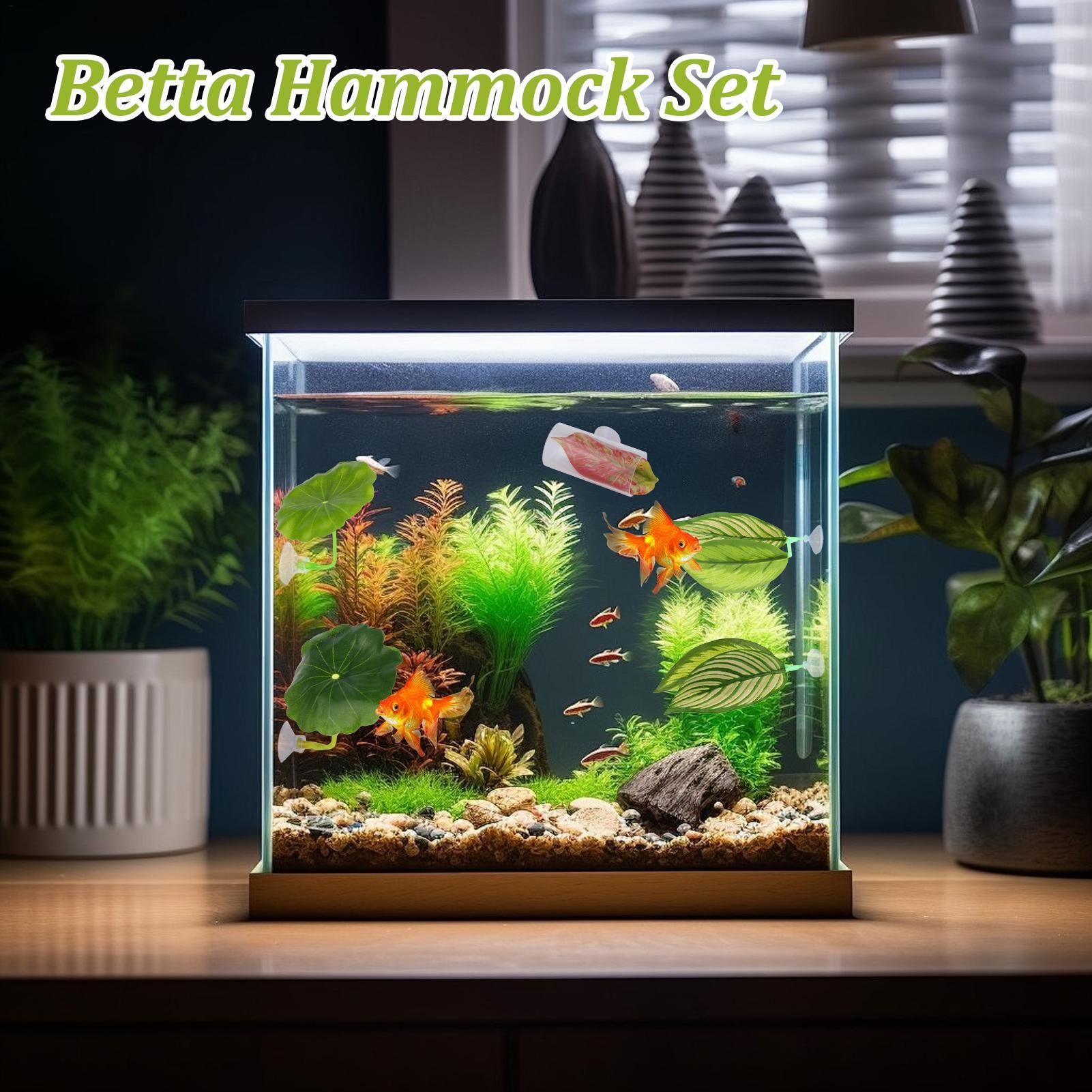 Betta-Fisch-Hängematte, 5-teil – Aquarium Fish Betta Bewertung und Preis