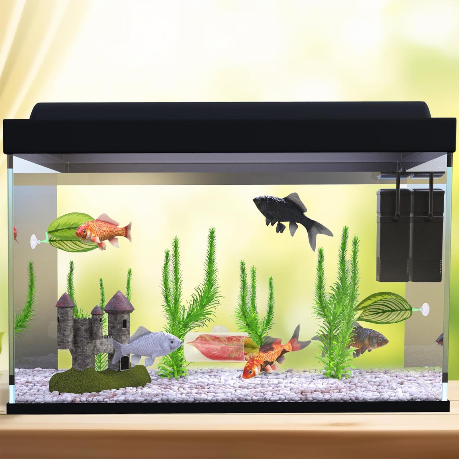 Betta-Fisch-Hängematte, 5-teil – Aquarium Fish Betta Bewertung und Preis