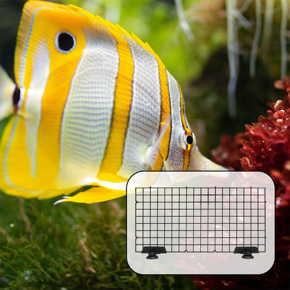 4 Sets Aquarium-Trennwände, Ab – Tank Divider Mesh Bewertung und Preis