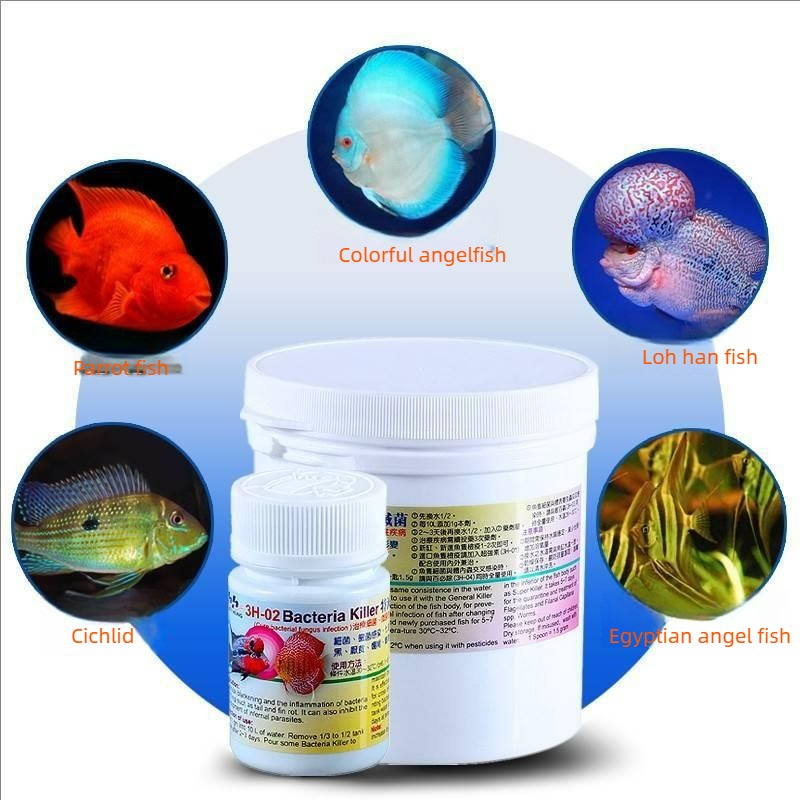 Aquarium-Fischbehandlung gegen – Aquarium Fish Cichlid Bewertung und Preis