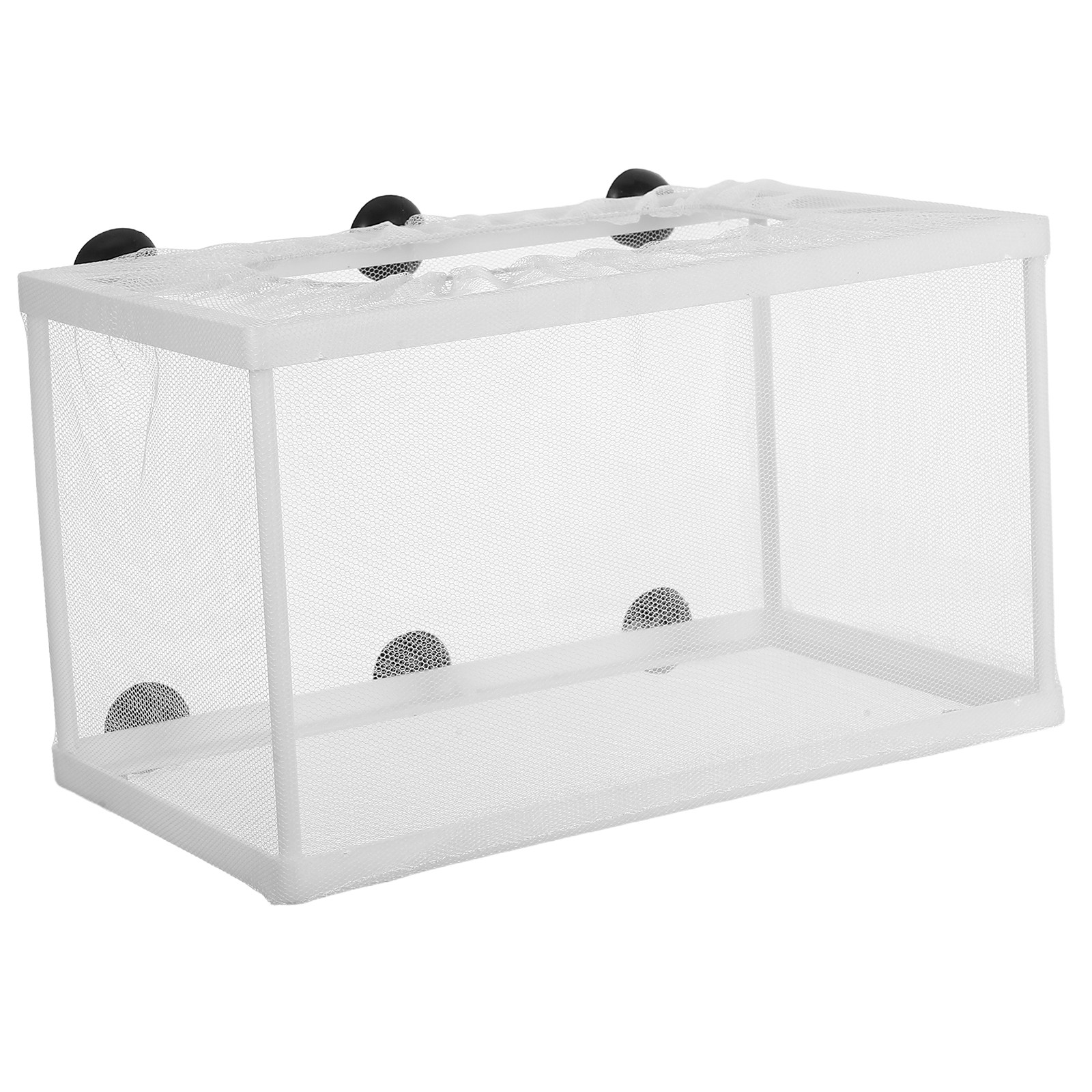 Große Fischbox mit Polyester-R – Aquarium Fish Big Size Bewertung und Preis