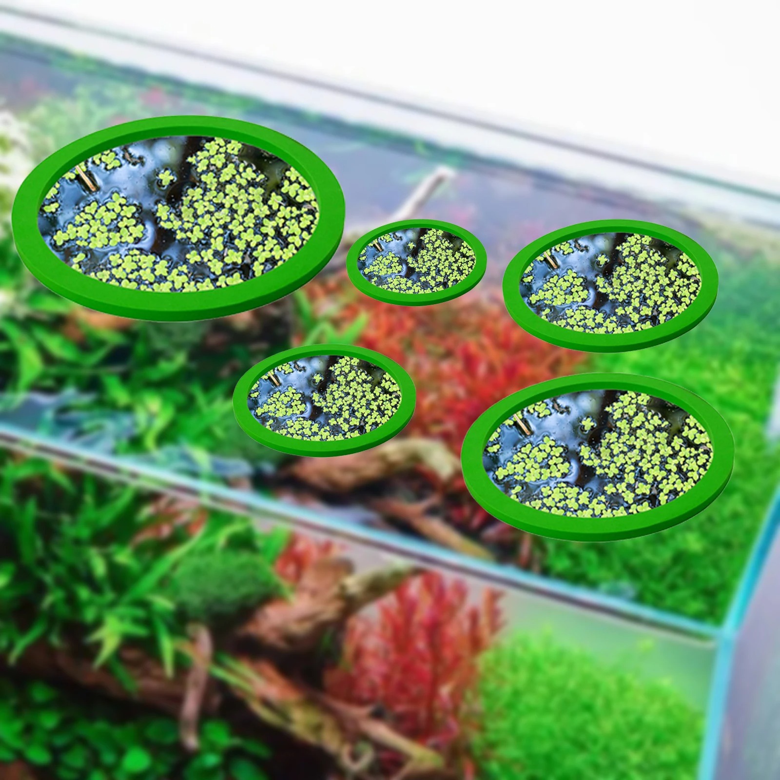 5Pcs EVA Fisch Fütterung Ring  – Aquarium Fish Breeding Bewertung und Preis