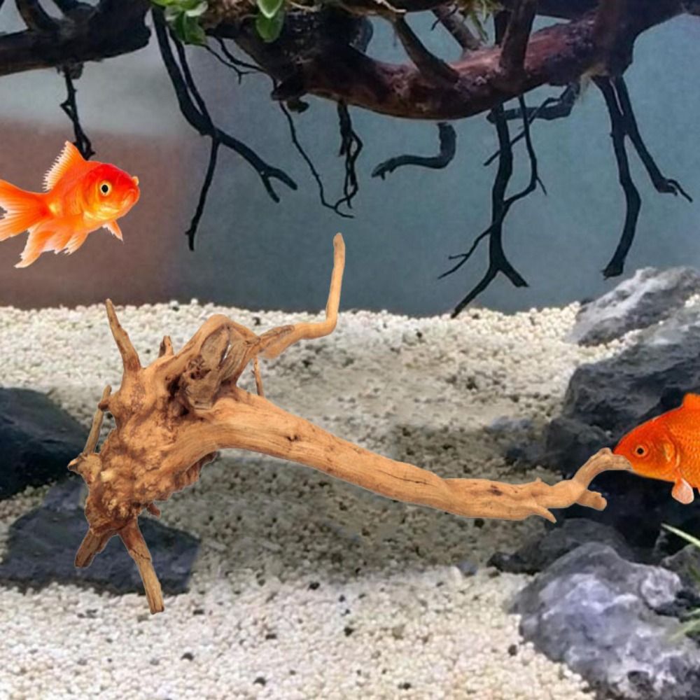 20-25CM Großes Aquarium-Treibh – Aquarium Fish Big Bewertung und Preis
