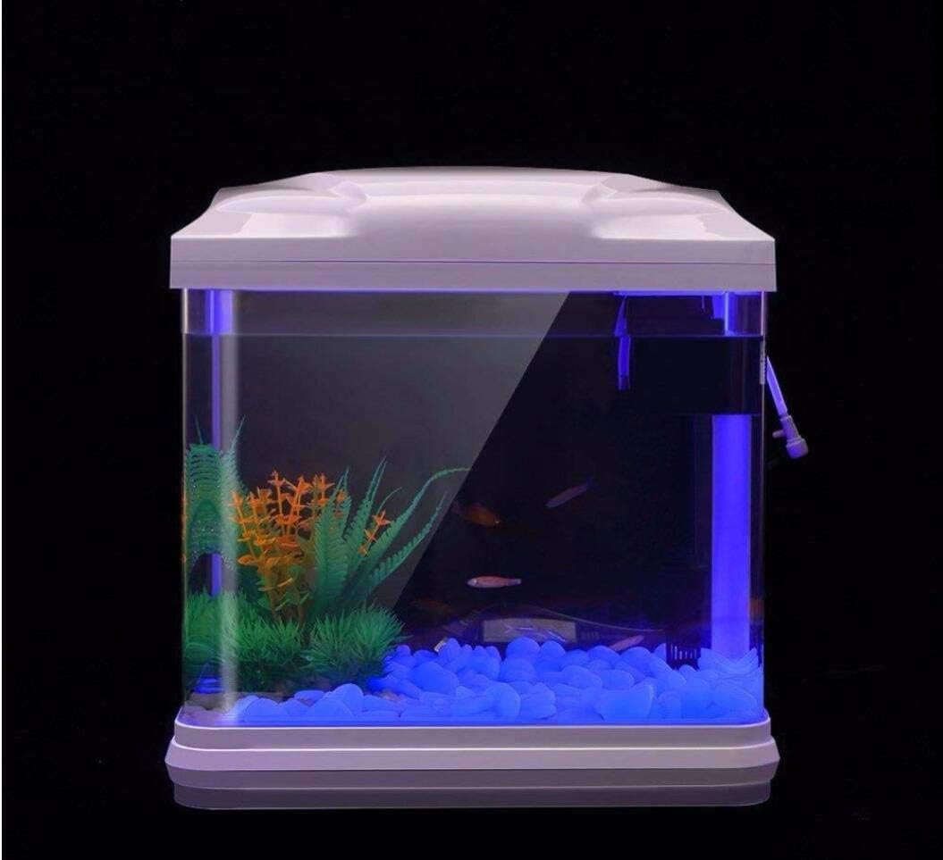 Aquarium-Felsen leuchten blaue – Aquarium Fish House Bewertung und Preis