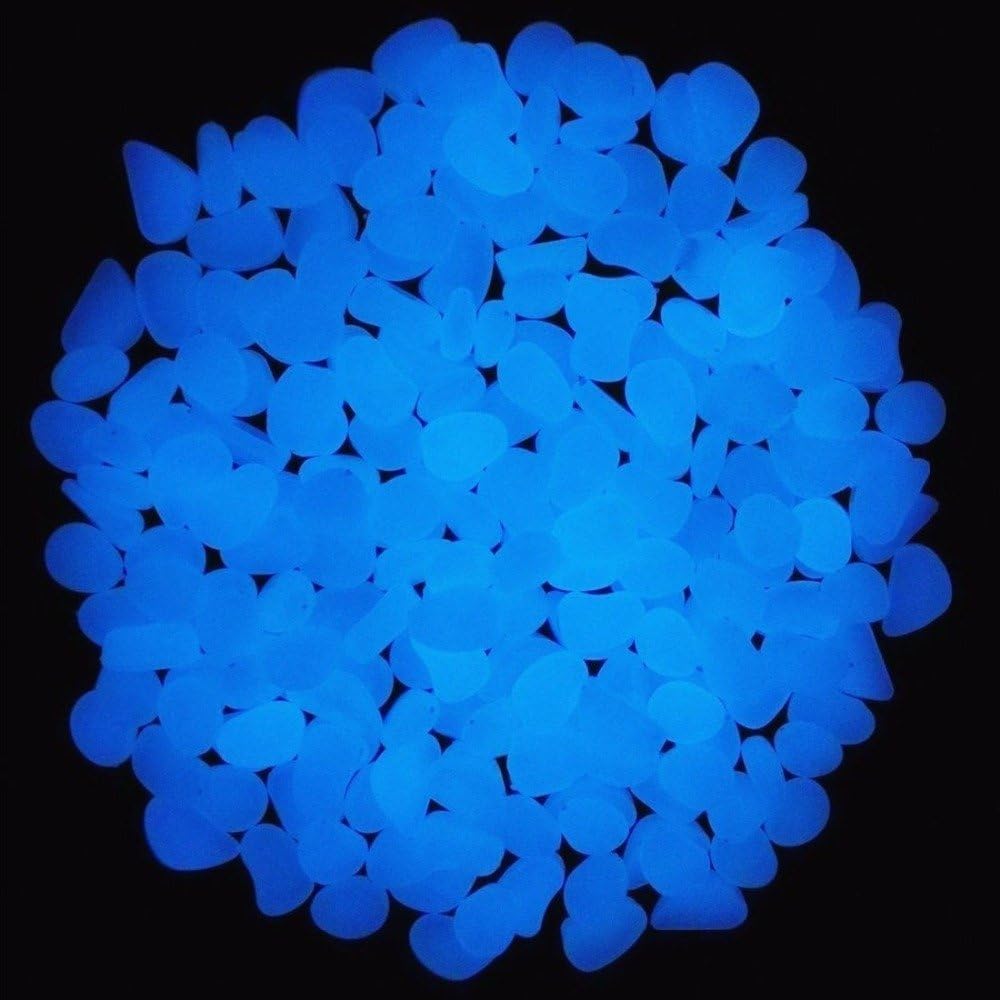 Aquarium-Felsen leuchten blaue – Aquarium Fish House Bewertung und Preis