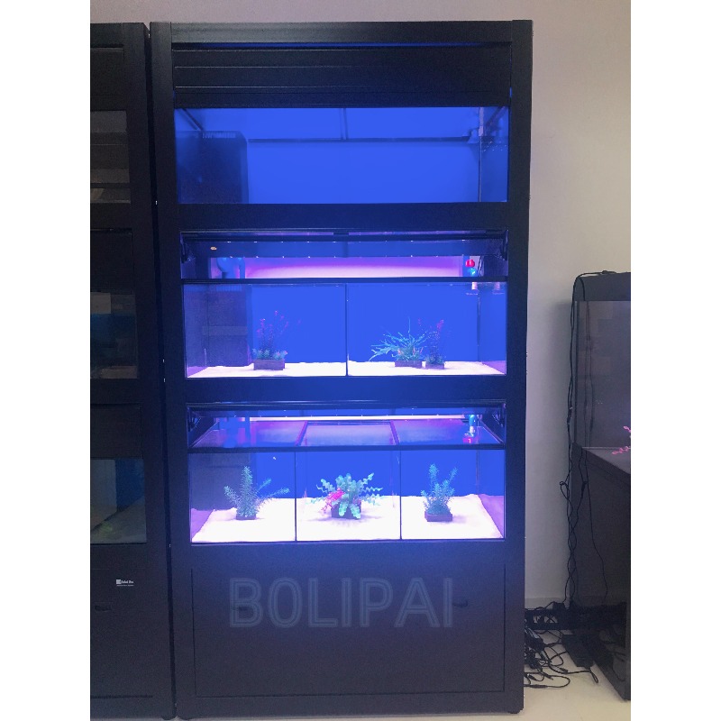 Maßgefertigtes Fischaquarium-R – Aquarium Fish Glass Bewertung und Preis