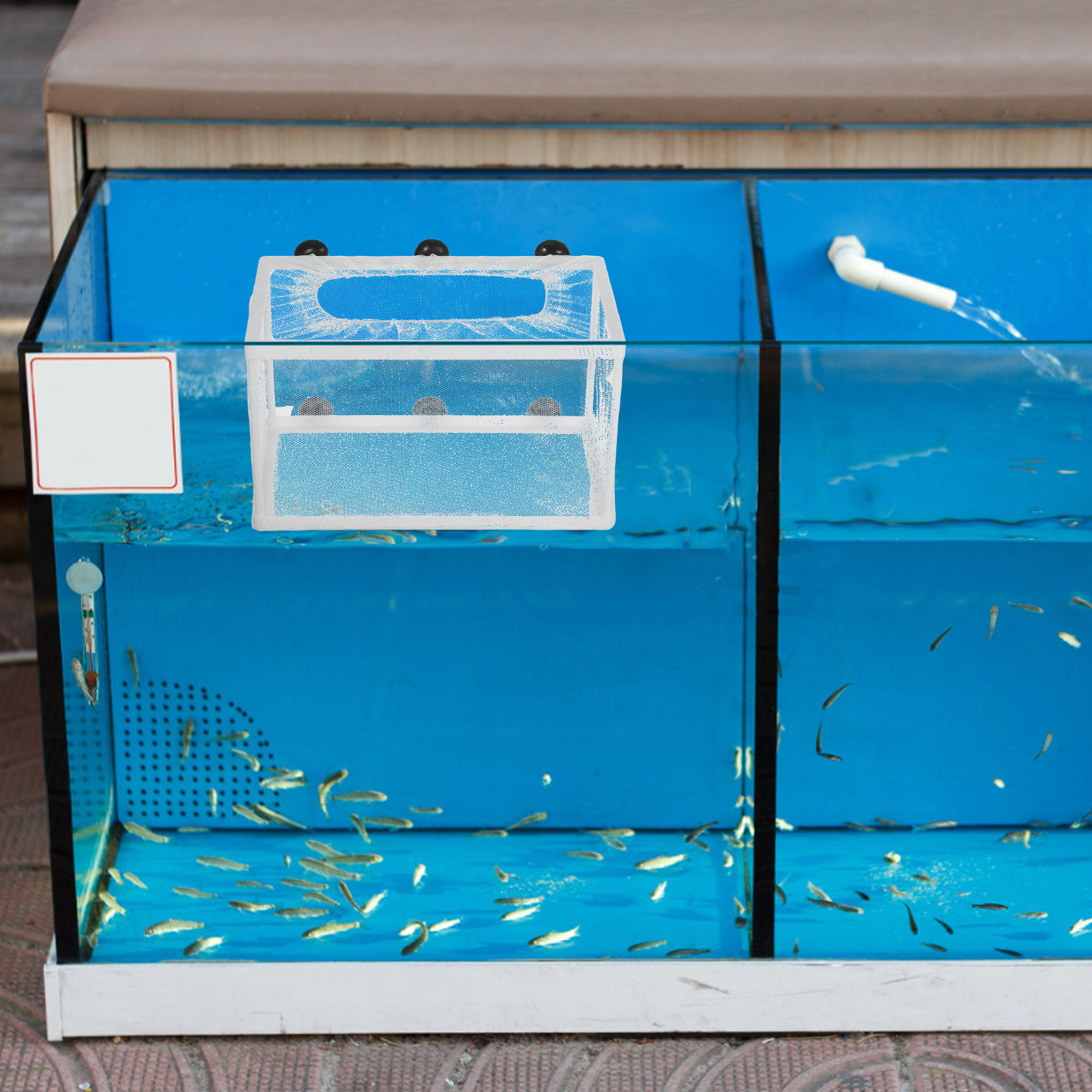 Großes Fischnetz für die Fisch – Aquarium Fish Big Size Bewertung und Preis