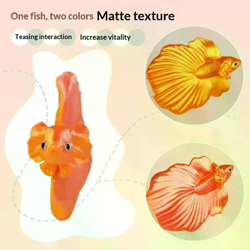 Bunter Aquarium-Betta-Training – Aquarium Fish Betta Bewertung und Preis