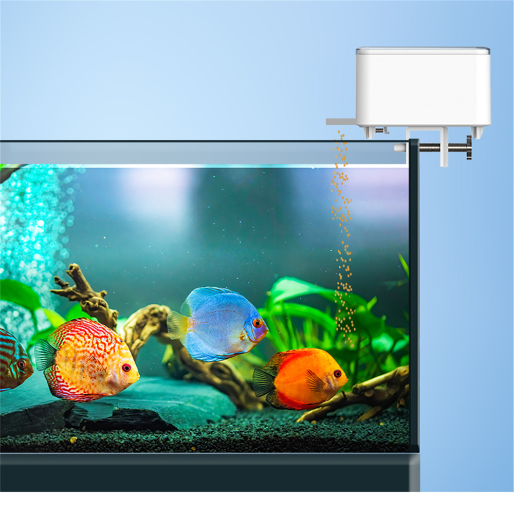 WiFi Smart Automatische Feeder – Aquarium Fish Big Bewertung und Preis