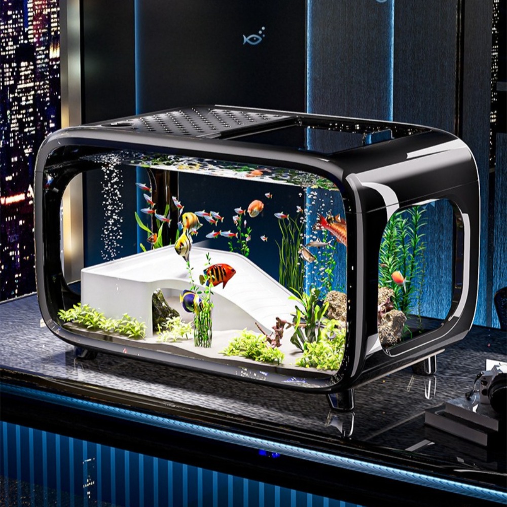 Transparente Luxus Aquarium La – Aquarium Fish Only Bewertung und Preis