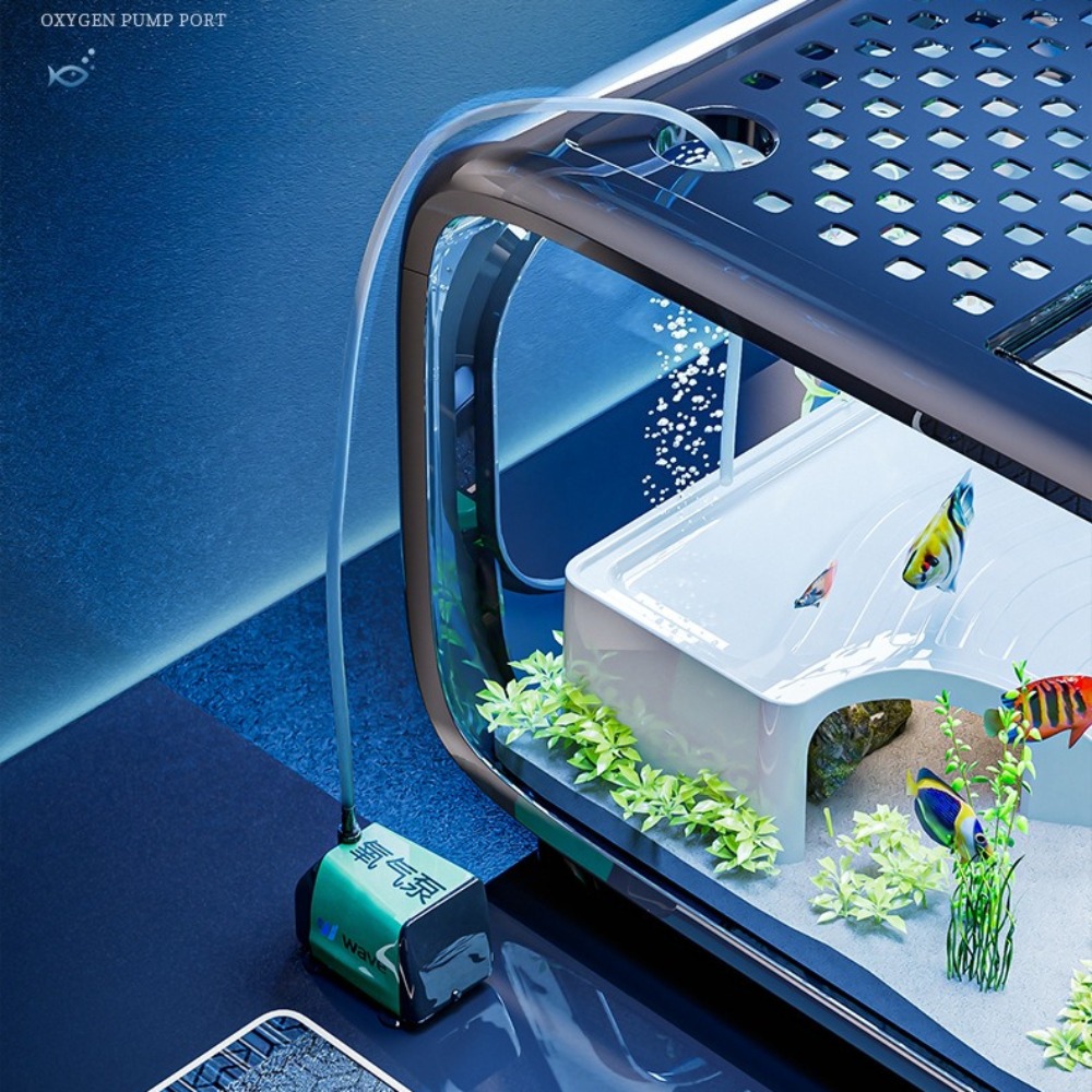 Transparente Luxus Aquarium La – Aquarium Fish Only Bewertung und Preis