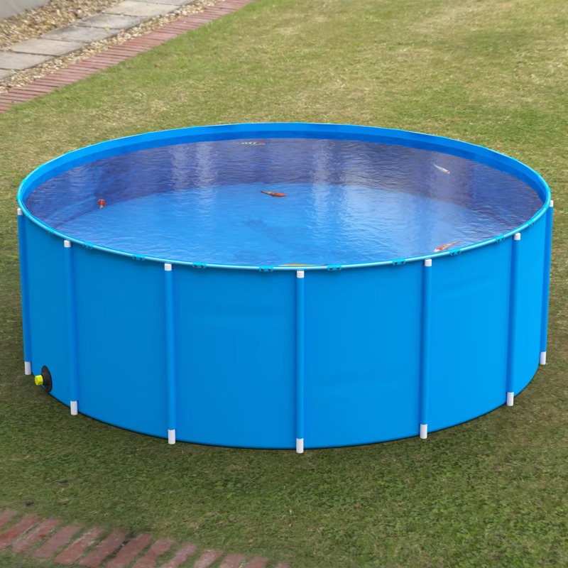 Großhandel: Maßgefertigter, be – Aquarium Fish Big Size Bewertung und Preis