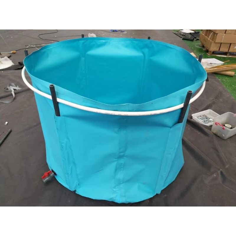 Großhandel: Maßgefertigter, be – Aquarium Fish Big Size Bewertung und Preis