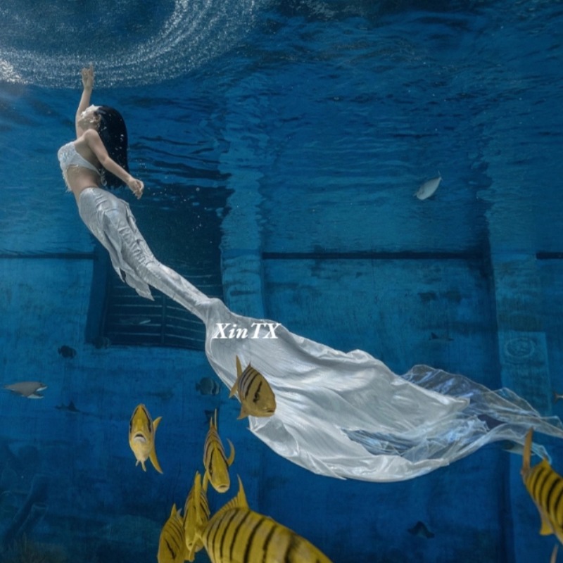 Erwachsene Eltern Mädchen Prof – Aquarium Fish Big Size Bewertung und Preis