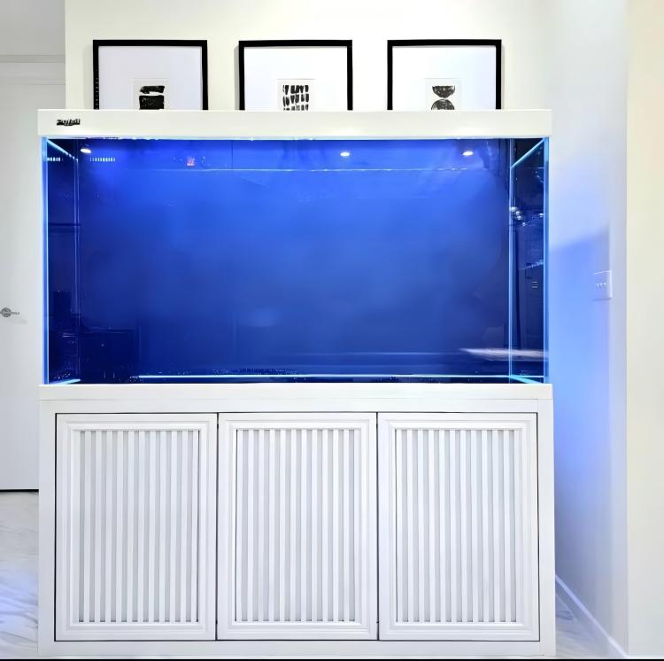 Großes Aquarium Fischbecken Gr – Aquarium Fish Big Size Bewertung und Preis